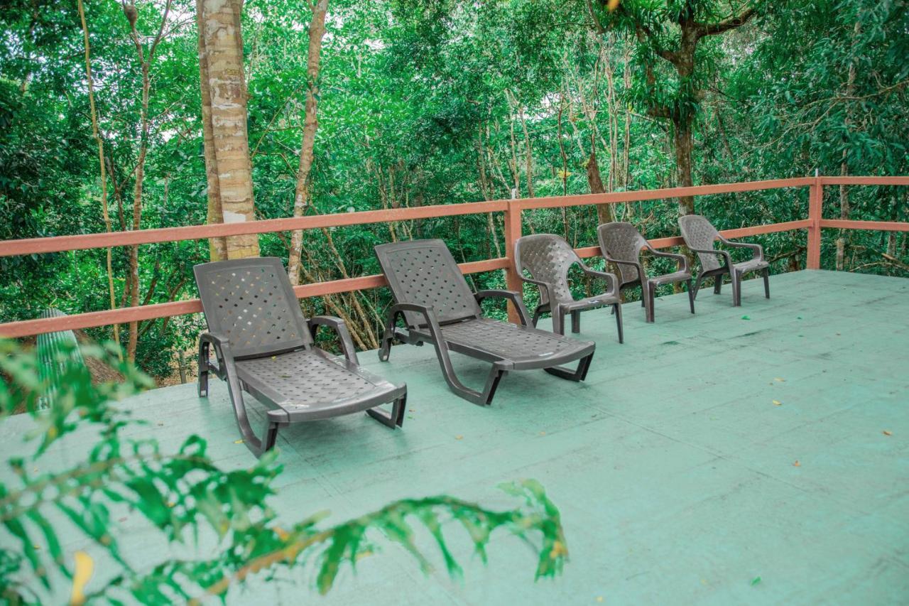 Caiman Eco Lodge Aguarico Eksteriør bilde
